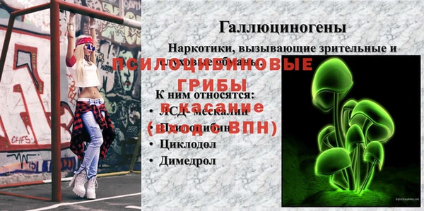 эйфоретик Алзамай