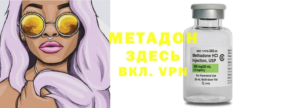 индика Алексин