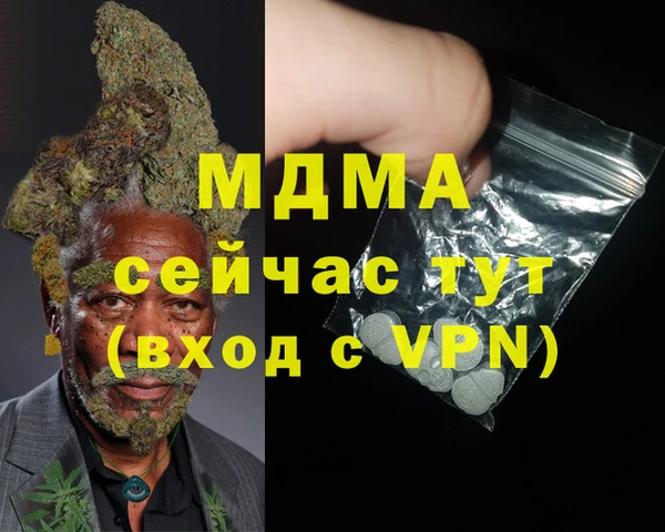 индика Алексин