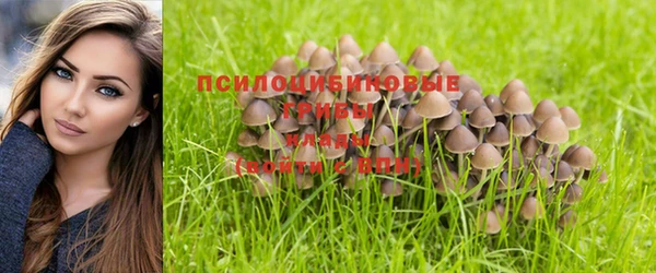 эйфоретик Алзамай