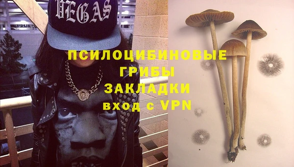 индика Алексин