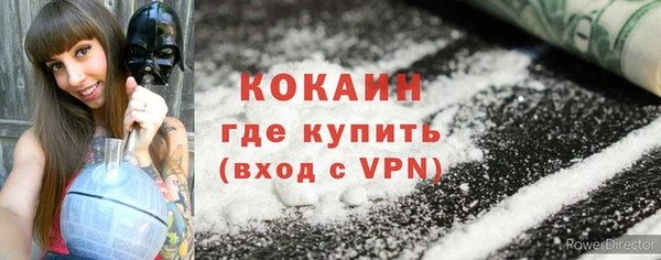 индика Алексин