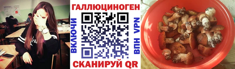 Псилоцибиновые грибы GOLDEN TEACHER  МЕГА онион  Каневская 